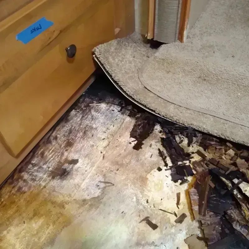 Wood Floor Water Damage in Kemper County, MS